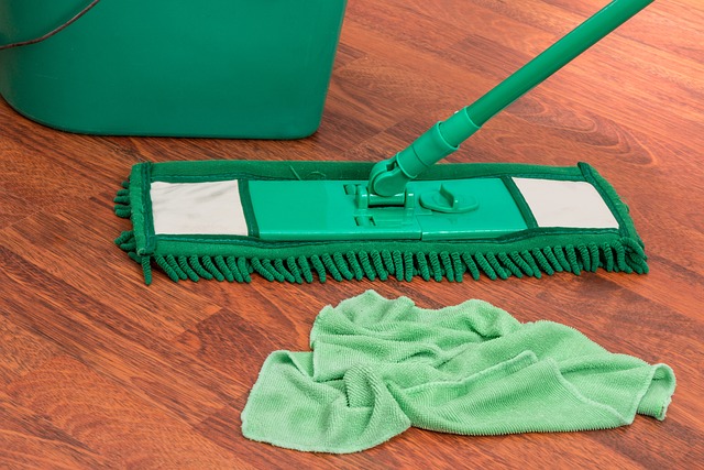 green mop, rag, and bucket