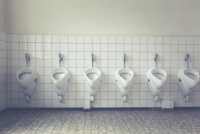 multiple urinals in a row