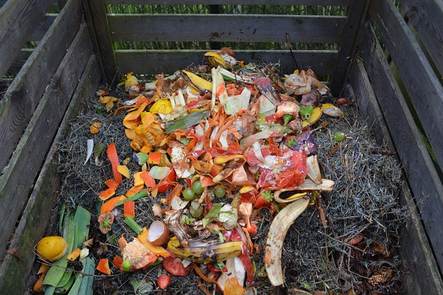 food scraps in a wooden crate