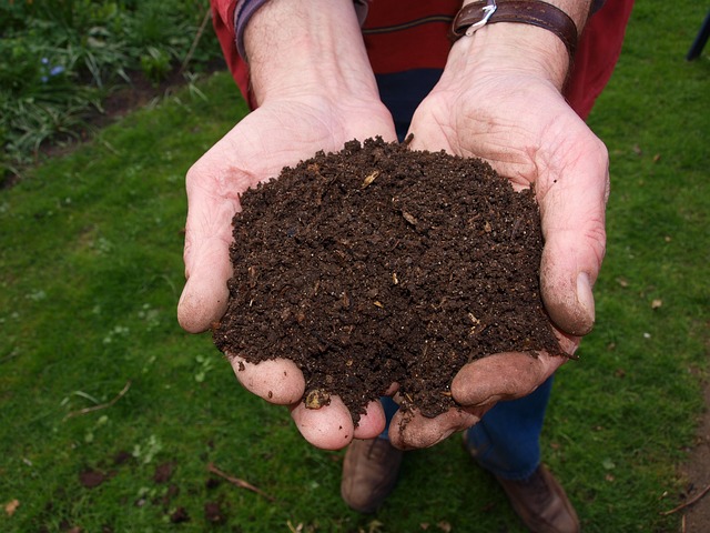 hands holding compost up close