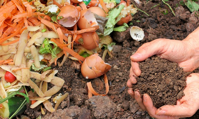 hands holding soil from organic waste