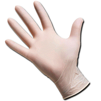 Latex Disposable Gloves, PF, Large